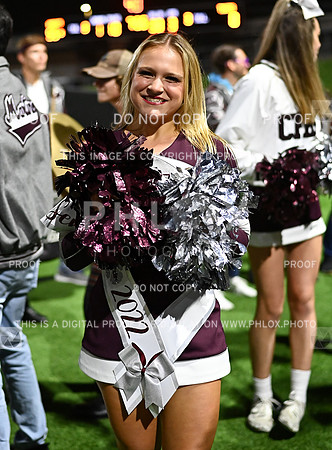 DLS_7391