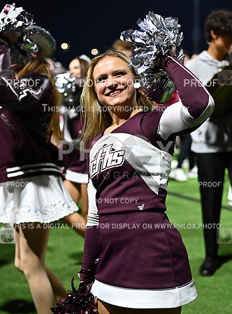 DLS_7577