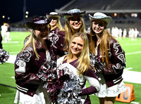DLS_7235