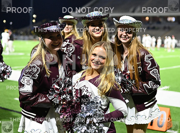 DLS_7235