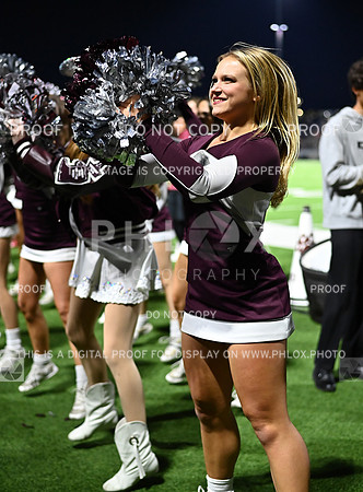 DLS_7829