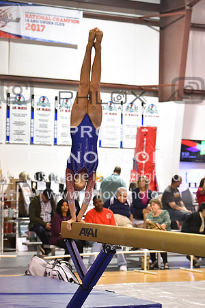 D5K_2487