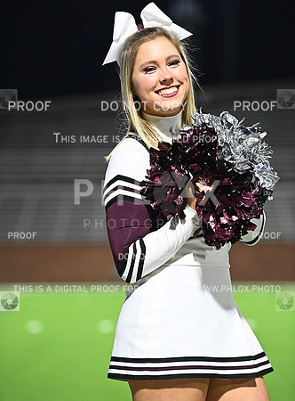 DLS_2432