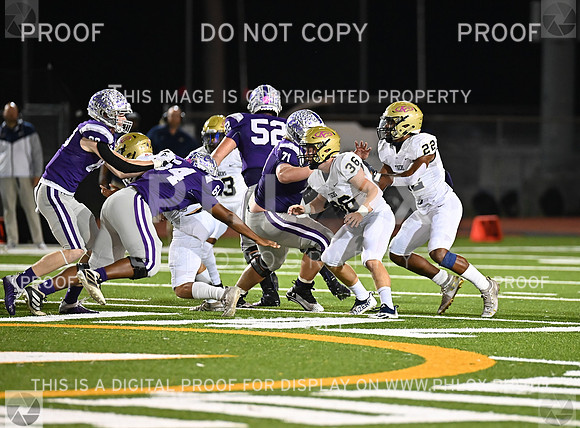DLS_3528