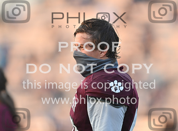 DLS_6096