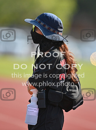 DLS_4861