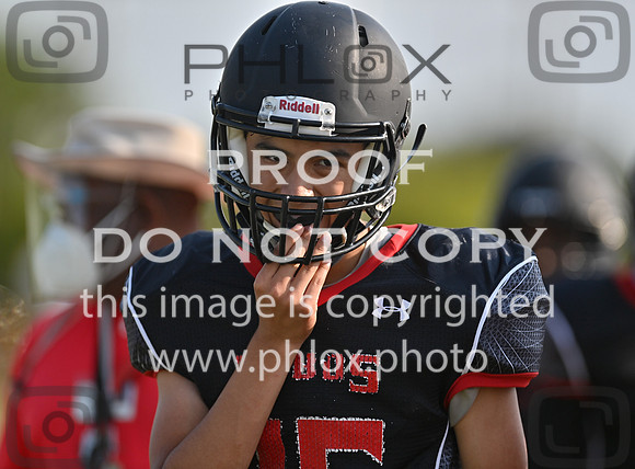 DLS_4928