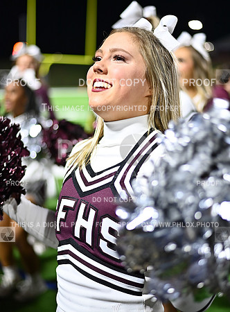 DLS_4291