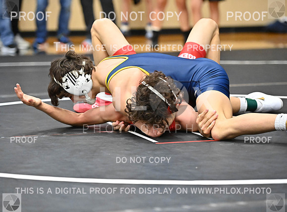 DLS_7817