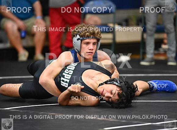 DLS_7795
