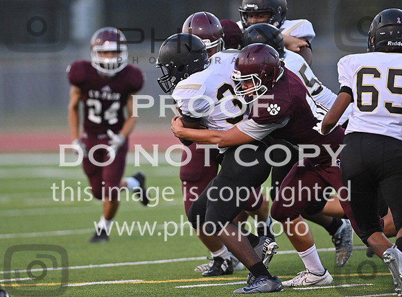 DLS_6283
