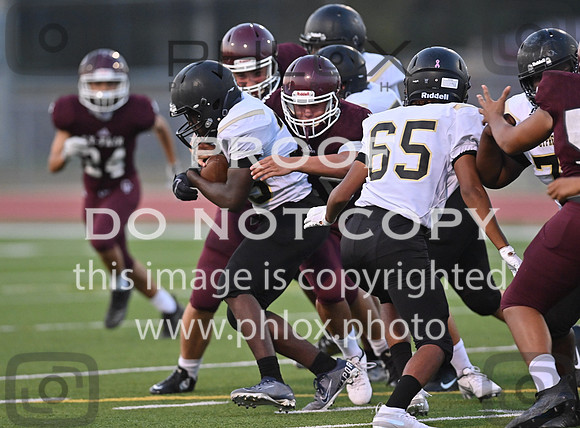 DLS_6282