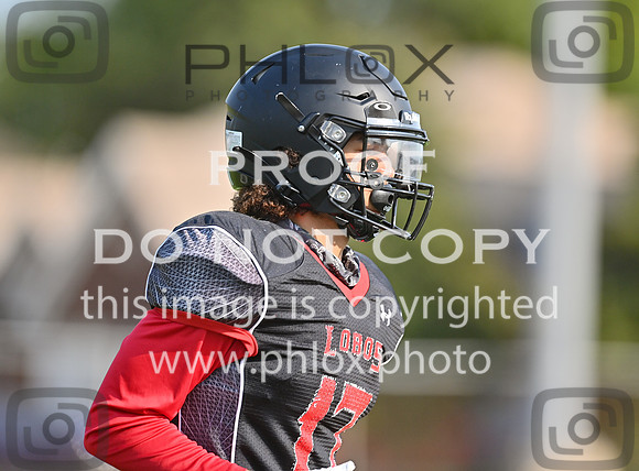 DLS_4883