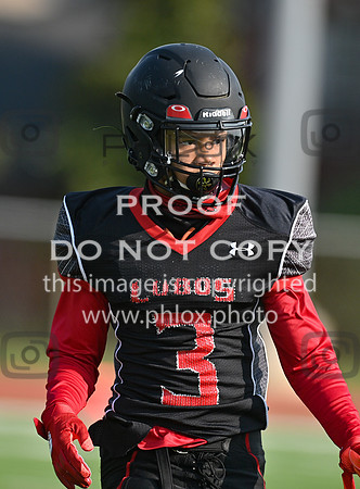 DLS_4936