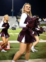 DLS_0170