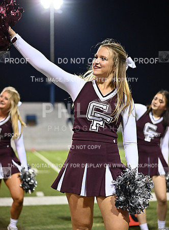 DLS_0380