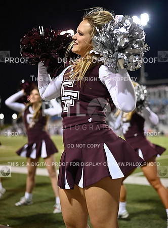 DLS_0546