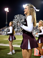 DLS_0509