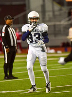 CAR005