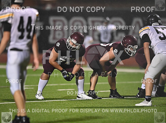 DLS_5193