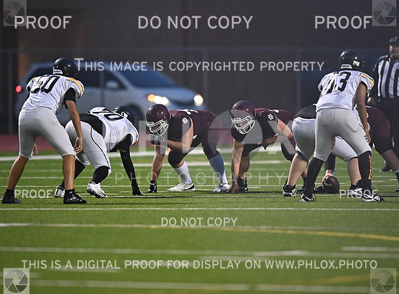 DLS_4931