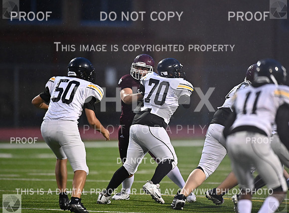DLS_4905