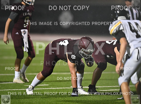 DLS_5208