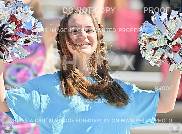 DLS_2520
