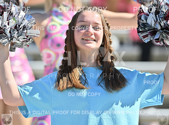 DLS_2545