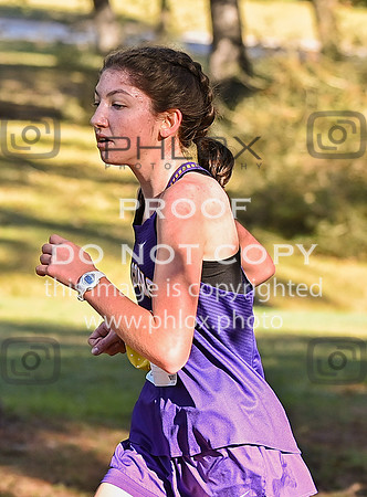 DLS_5094