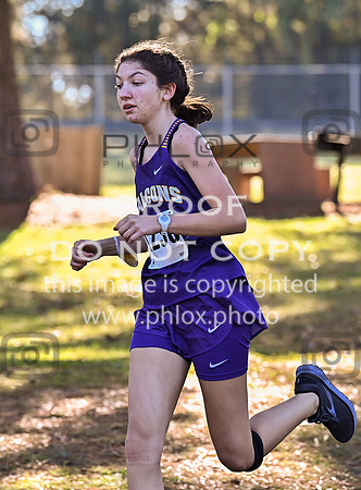 DLS_4810