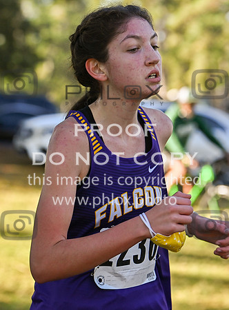 DLS_4957
