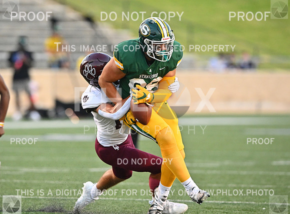 DLS_1513