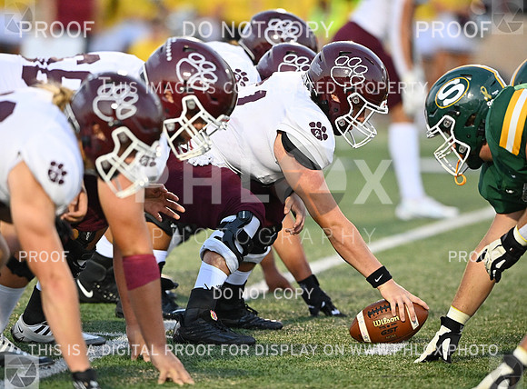 DLS_1581