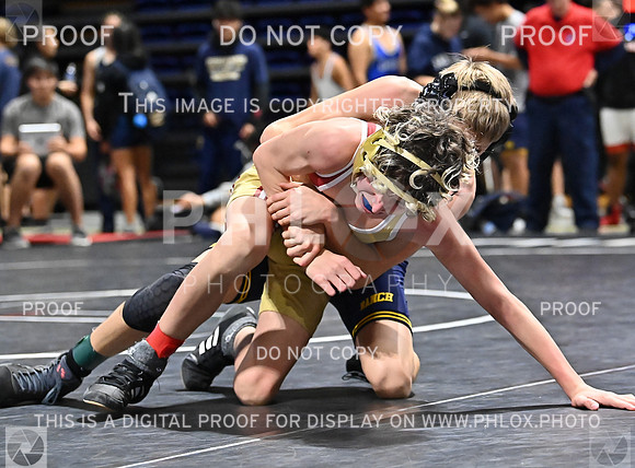 DLS_8309