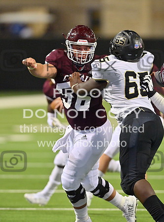 DLS_8279