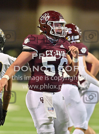 DLS_7547