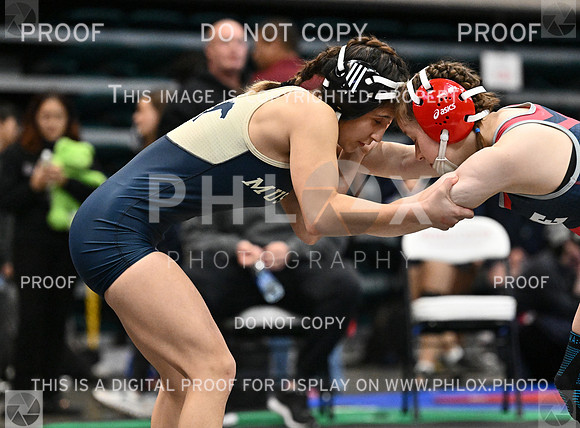 DLS_1395-2