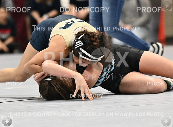 DLS_1805-2