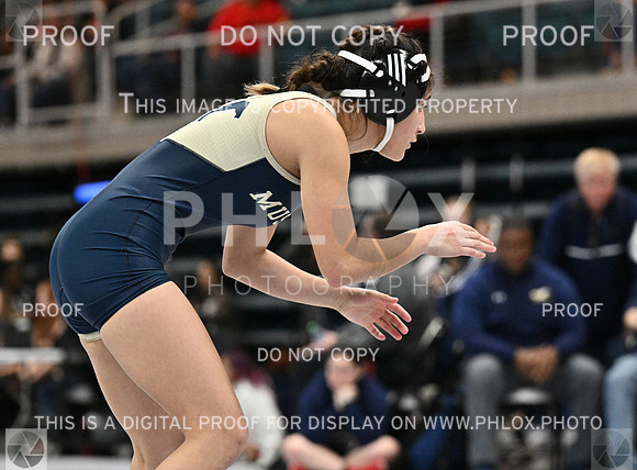 DLS_1786-2