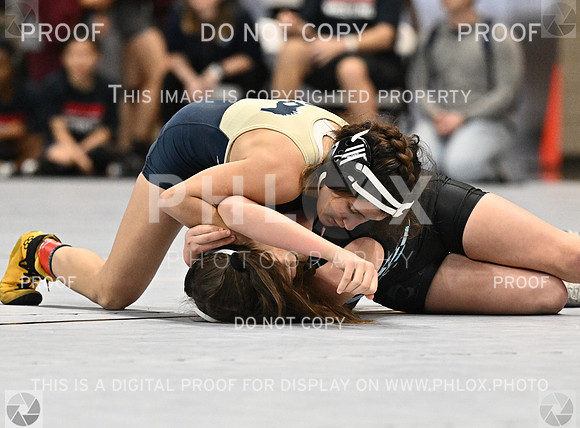 DLS_1804-2