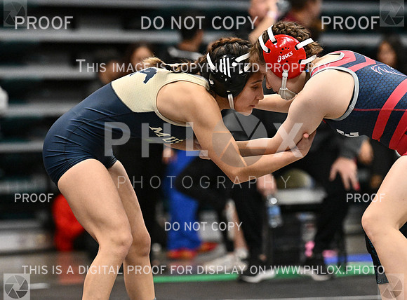 DLS_1392-2