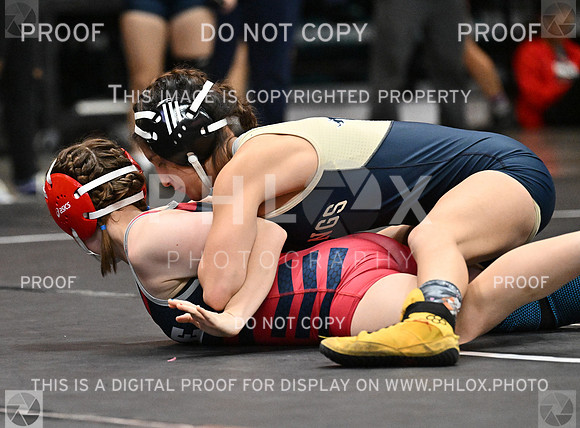 DLS_1398-2