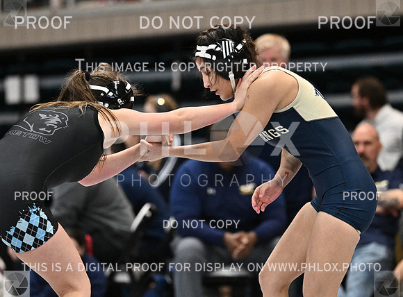 DLS_1796-2