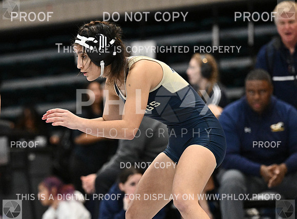 DLS_1794-2