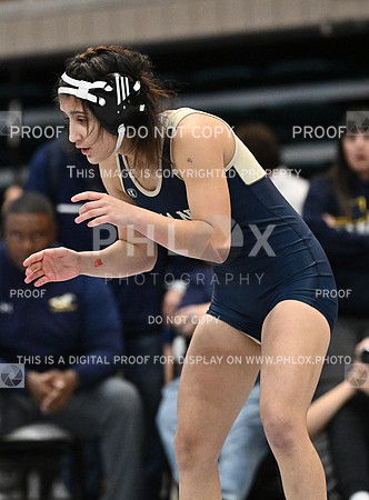 DLS_1797-2