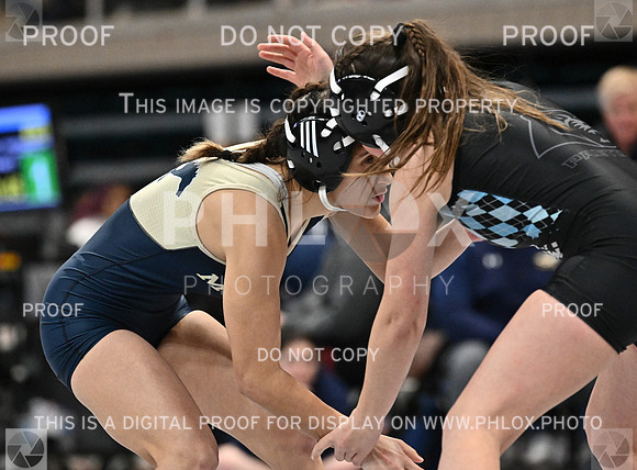 DLS_1785-2
