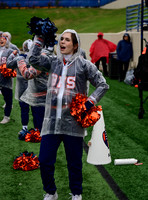 TOM_2295
