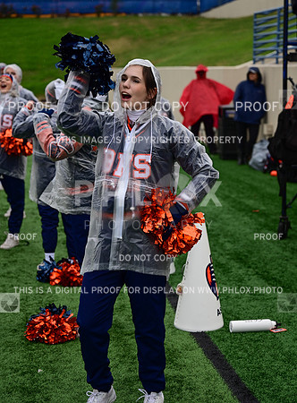 TOM_2295