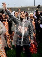 TOM_3157